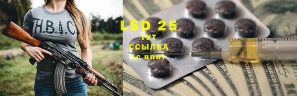 ГАЛЛЮЦИНОГЕННЫЕ ГРИБЫ Магас