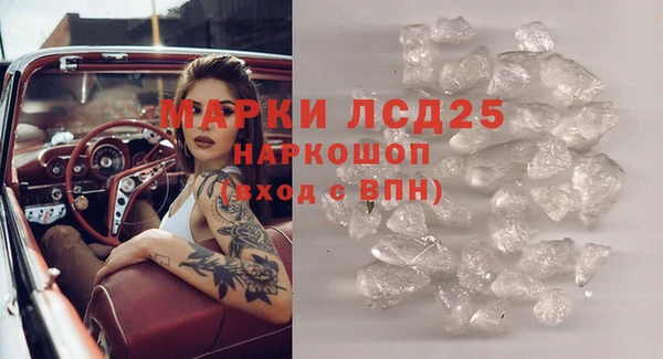 ГАЛЛЮЦИНОГЕННЫЕ ГРИБЫ Магас