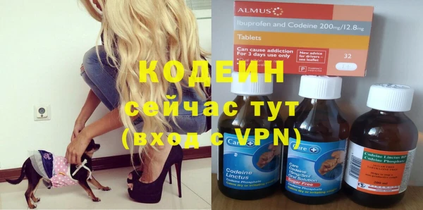 ГАЛЛЮЦИНОГЕННЫЕ ГРИБЫ Магас