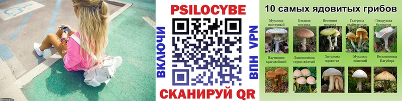 Галлюциногенные грибы прущие грибы  даркнет сайт  Жуков 
